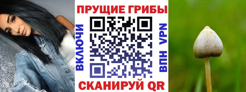Псилоцибиновые грибы Cubensis  Комсомольск-на-Амуре 